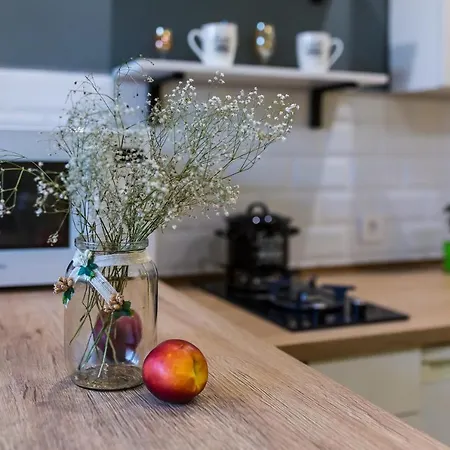 Appartement Loft Near Polytechnic